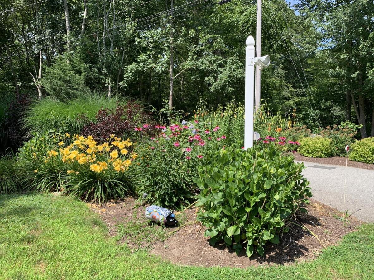 Cozy Bungalow Just Minutes From Mystic, Westerly Beaches, Boating And Casinos! Bungalow Groton Luaran gambar